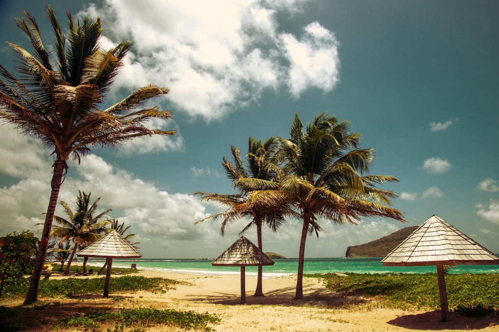 Villa Caribbean Dream فيو فورت المظهر الخارجي الصورة